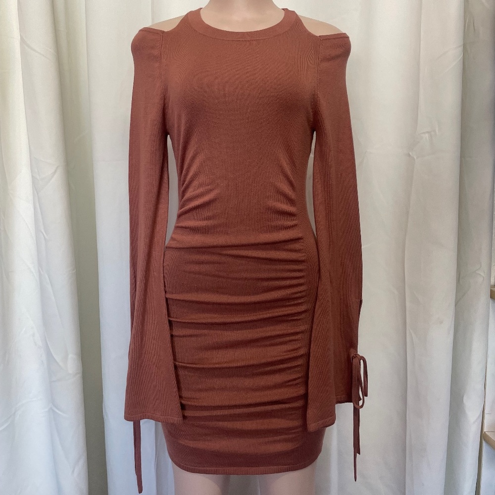 Express bodycon dress